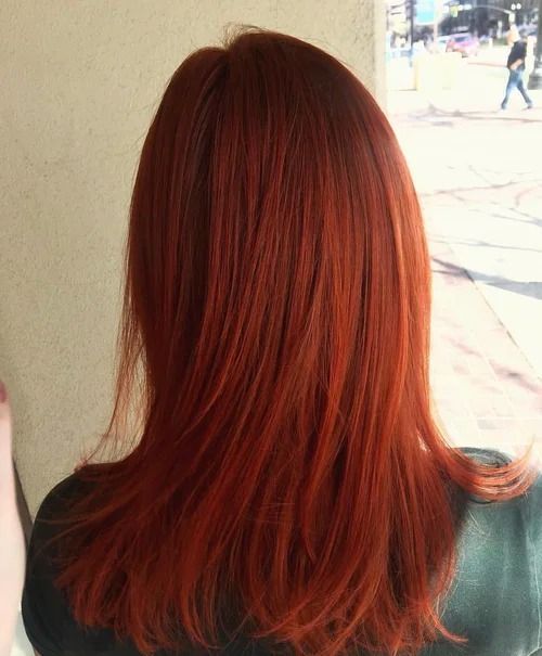 Back view of shoulder-length red hair against an indoor window-lit background
