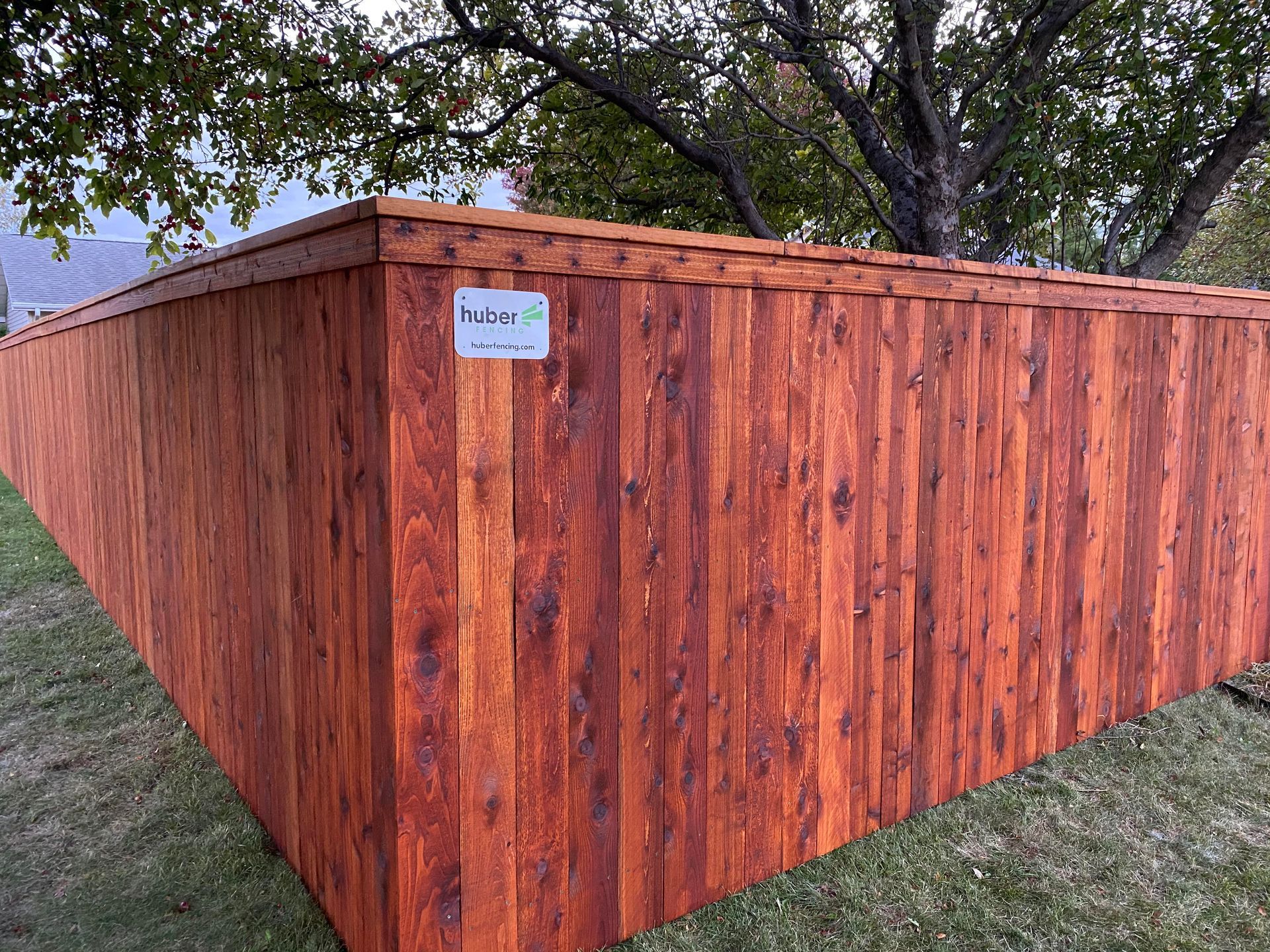 Wooden privacy fence in a grassy yard beneath trees