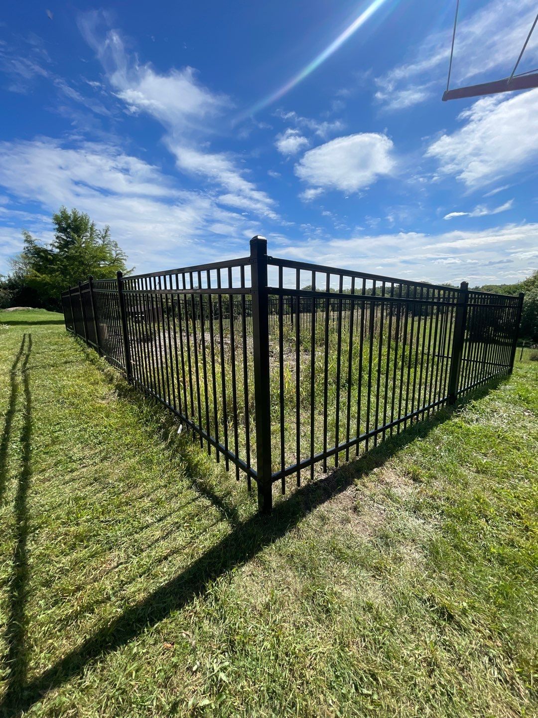 Black metal corner fence in a sunny grassy yard under a blue sky with clouds