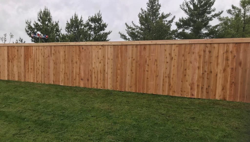 Cedar Fence 