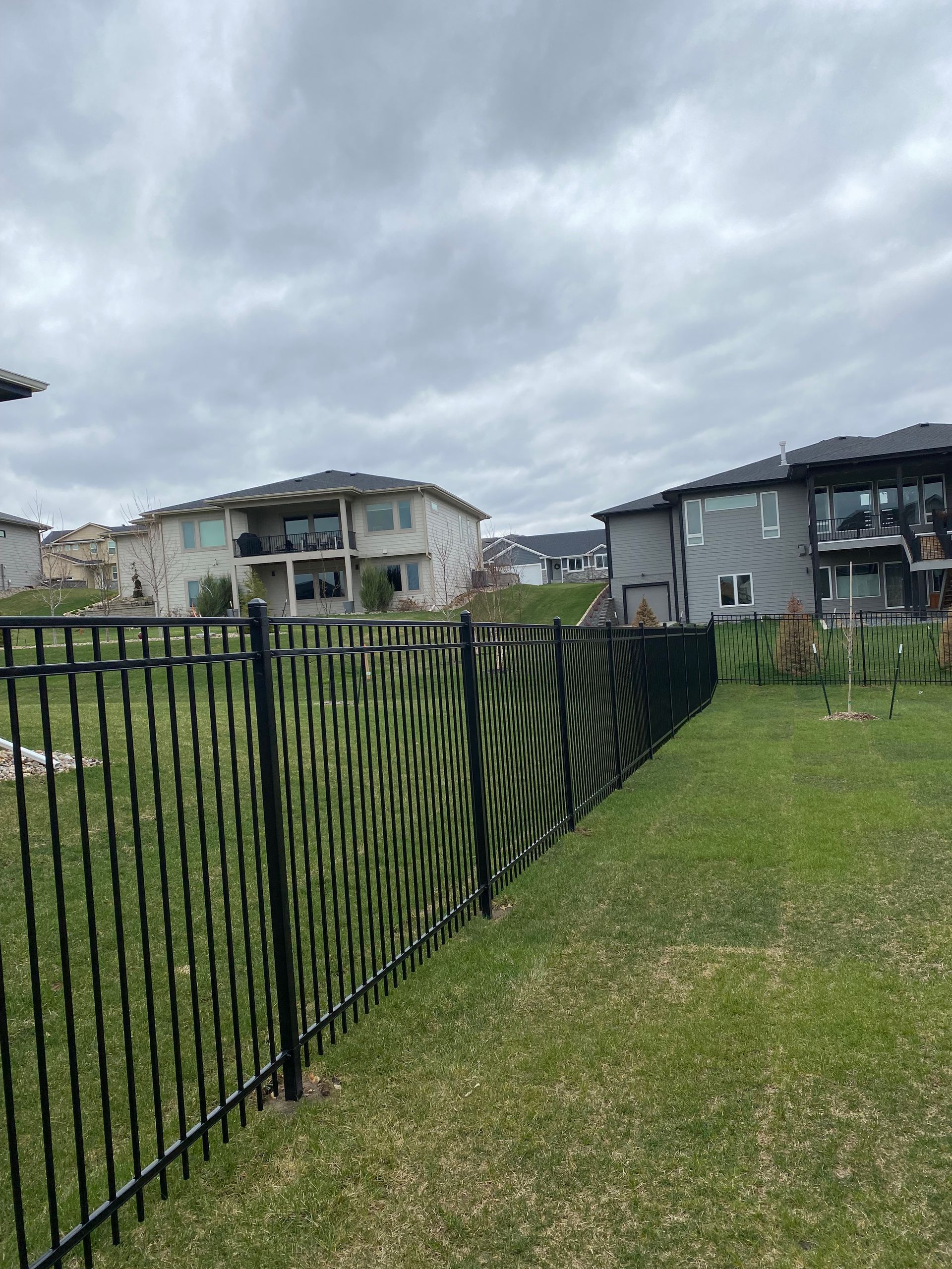 Black metal fence beside a grassy yard with houses under a cloudy sky