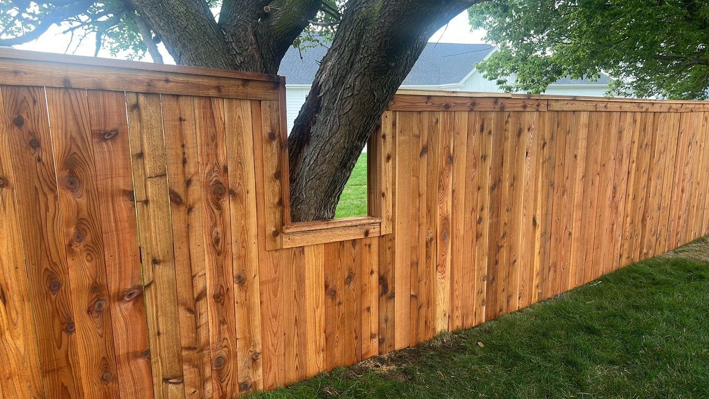 Wooden privacy fence with a tree trunk passing through a cutout section along a grassy yard