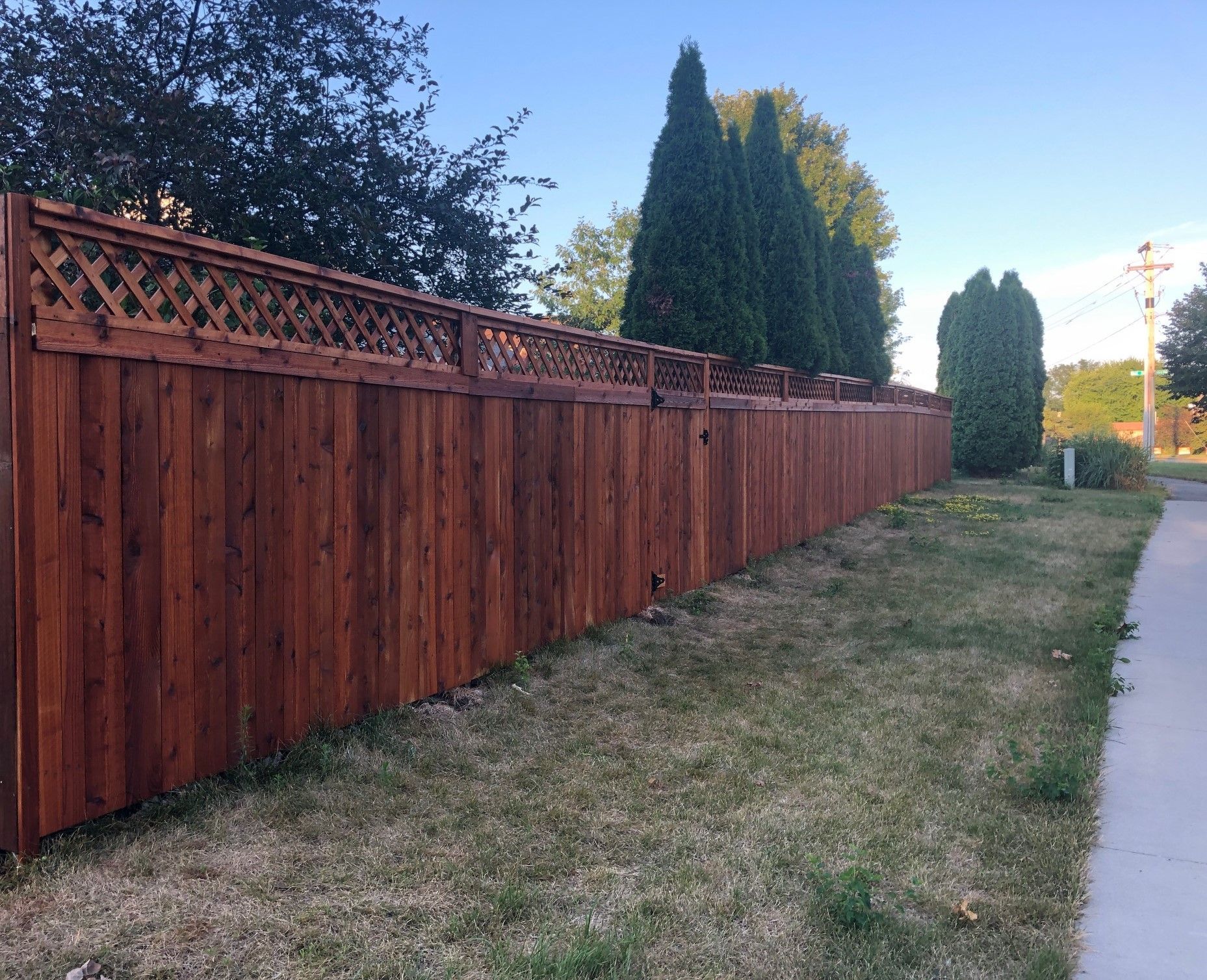 Red wooden fence along a grassy sidewalk beside tall evergreens at dusk