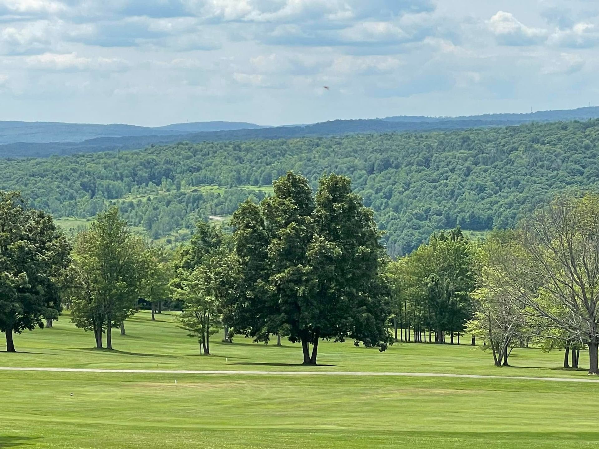 Green landscape with trees, grass, and a distant forested mountain range under a cloudy sky.