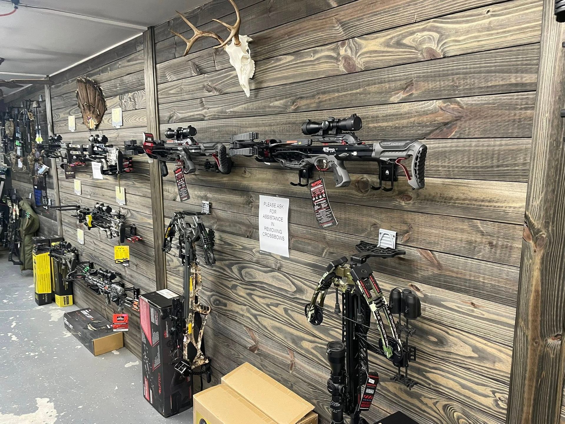 Crossbows displayed on a wooden wall in a store, with other hunting gear.