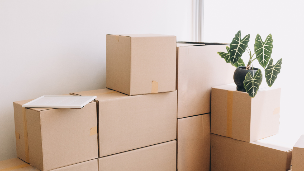 Cardboard moving boxes stacked in a room with a potted plant on top and a laptop.