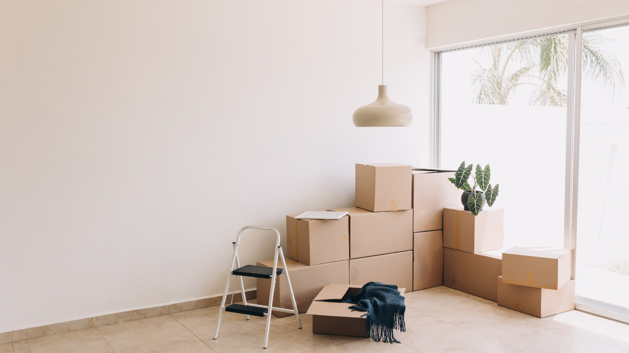 Moving boxes stacked in an empty room with a stepladder, a hanging light, and a plant by a window.