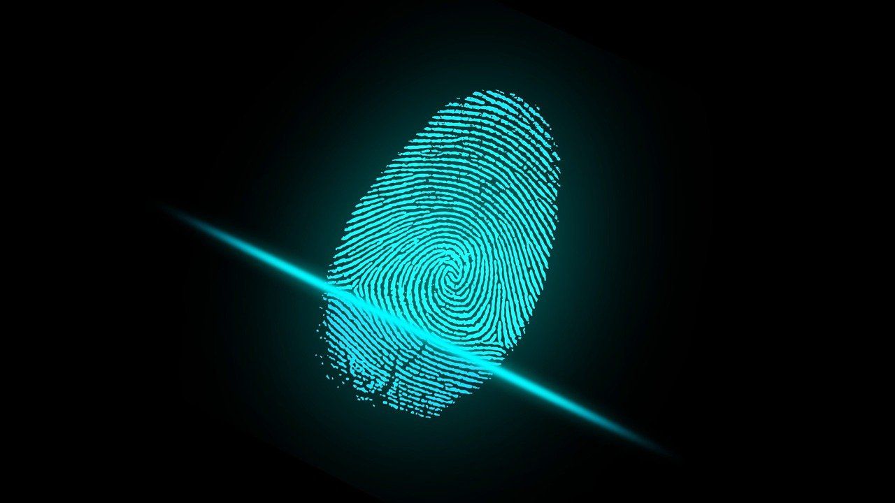 Fingerprint for biometric scanning