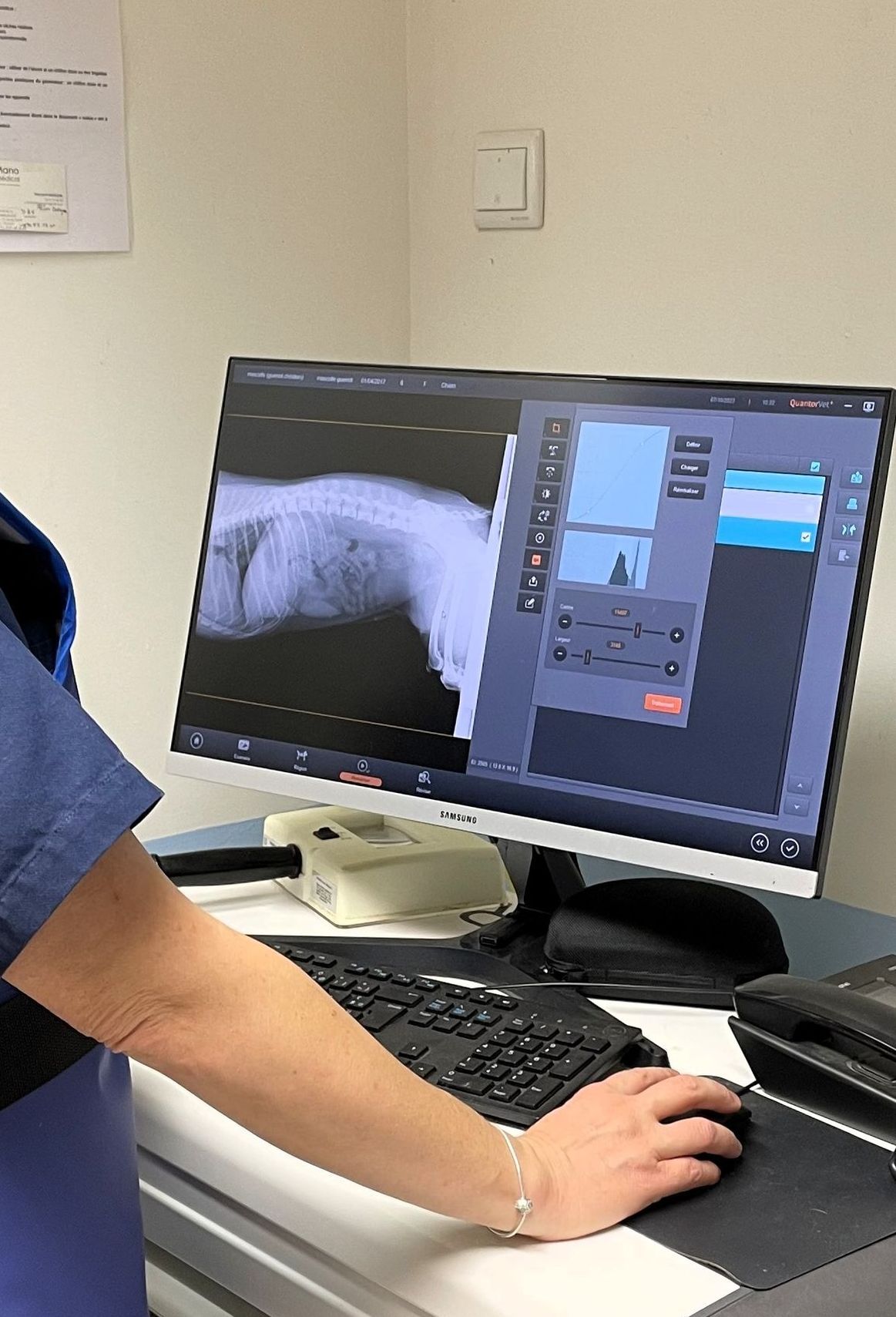 Lecture d'une radiographie par le Dr Goffin du cabinet Vétérinaire Brinon-Tannay
