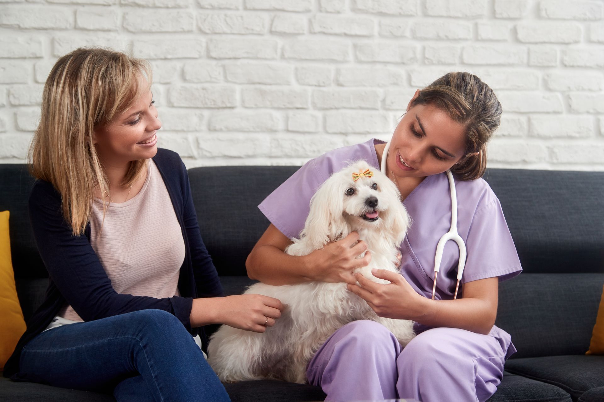 A woman and a nurse are sitting on a couch with a dog.