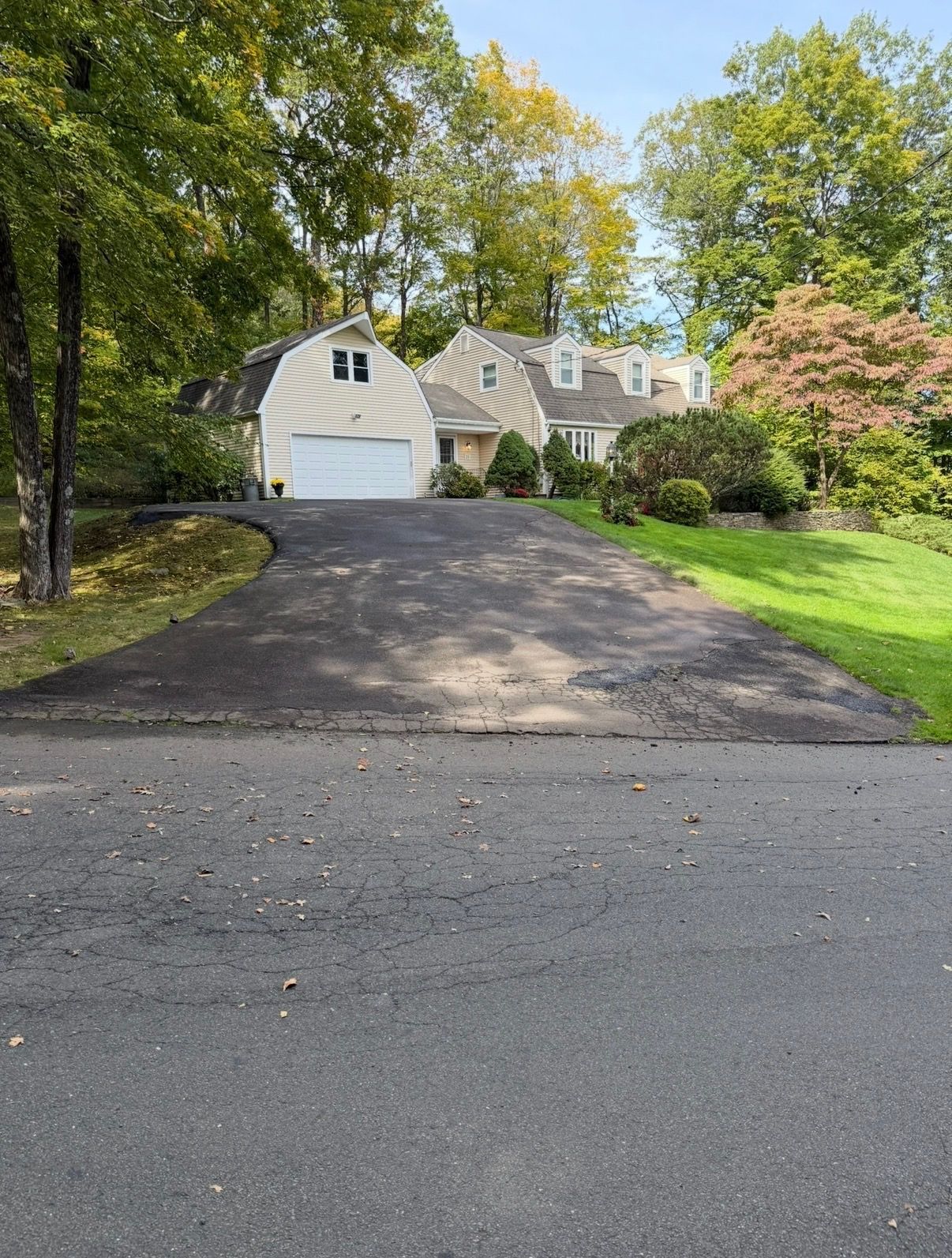 Suburban house with a black driveway, white garage, and green trees and lawn.