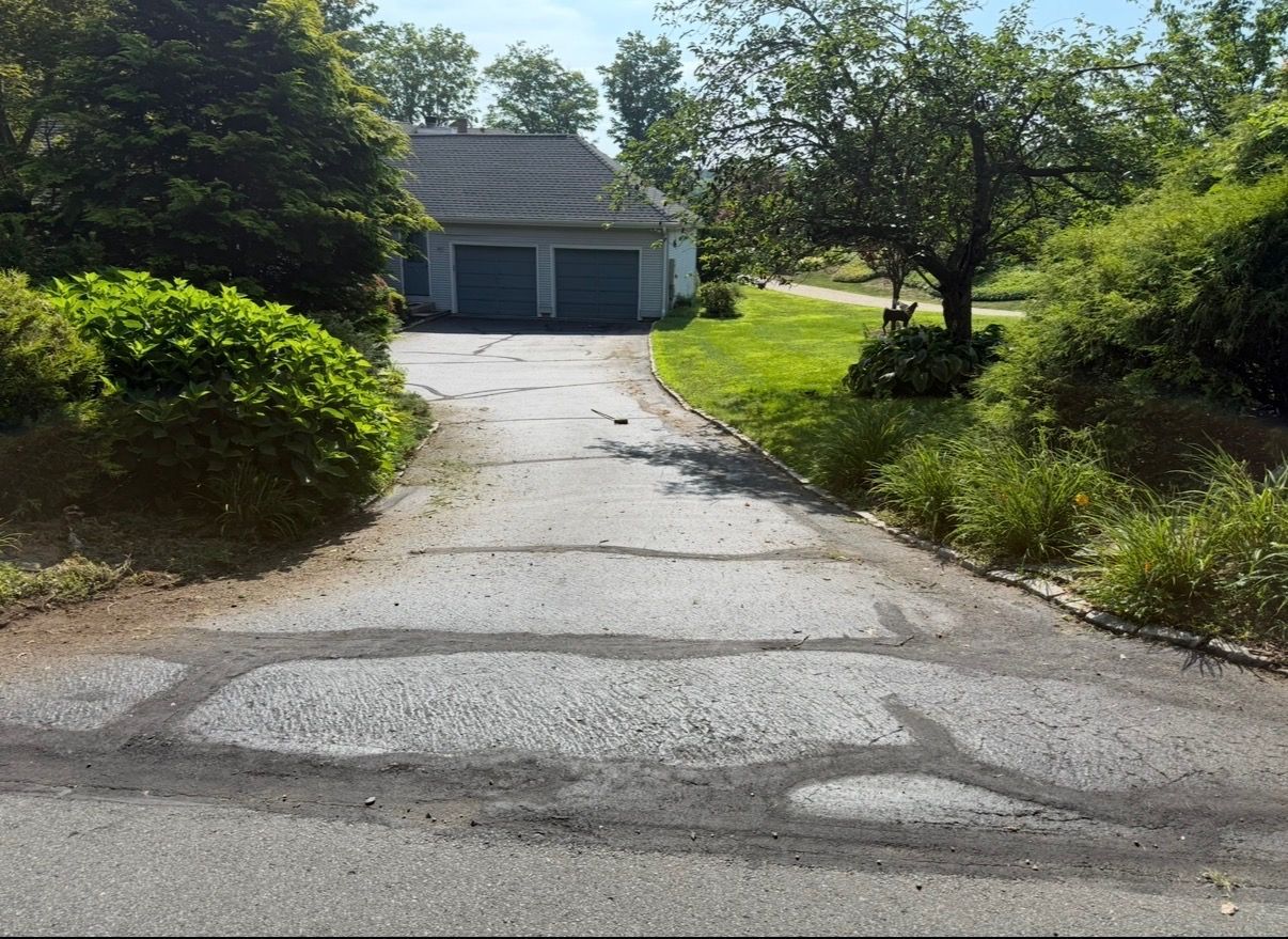 Cracked driveway leading to a two-car garage surrounded by trees and greenery