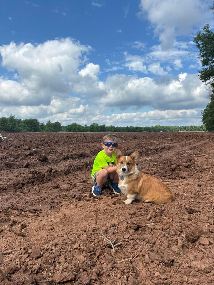 Child in neon green shirt sits with a corgi on a dirt field under a cloudy blue sky