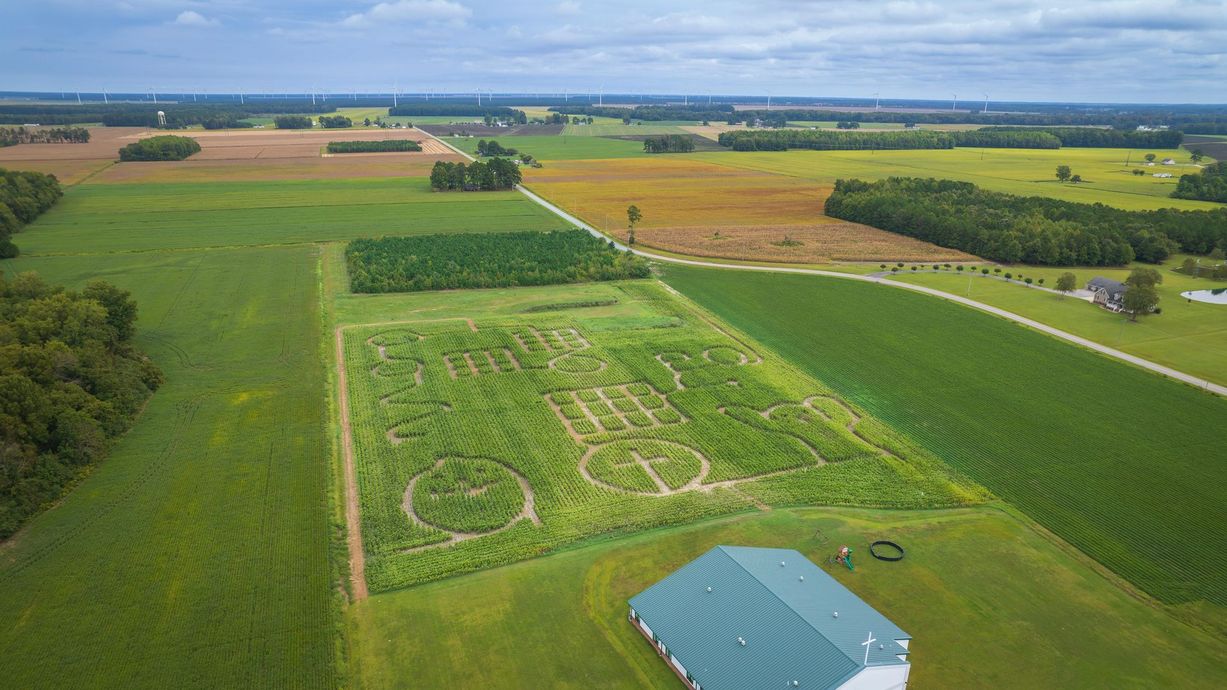 Aerial view of a green farm field with maze-like crop patterns, bordered by trees and open farmland