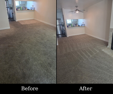 Carpeted empty room with a white closet and a patch of sunlight on the floor