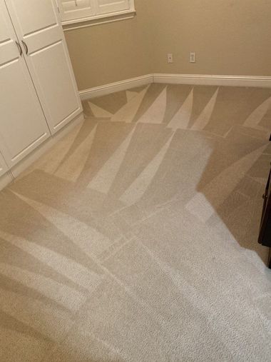 Carpeted empty room with a white closet and a patch of sunlight on the floor