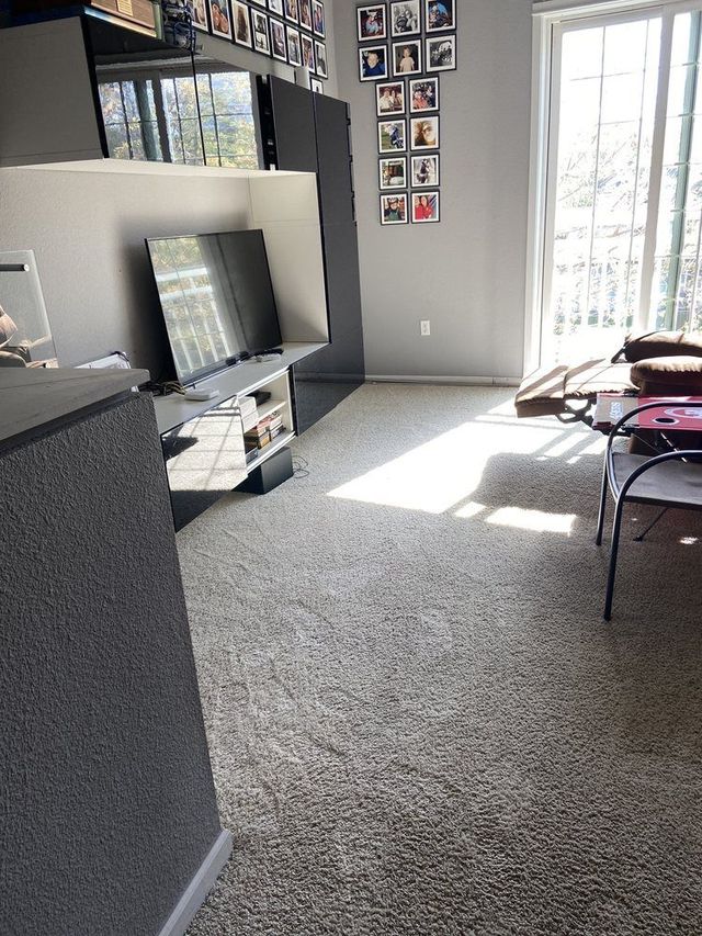 Bright living room with gray carpet, TV stand, photo collage, and sunlight by a large window.