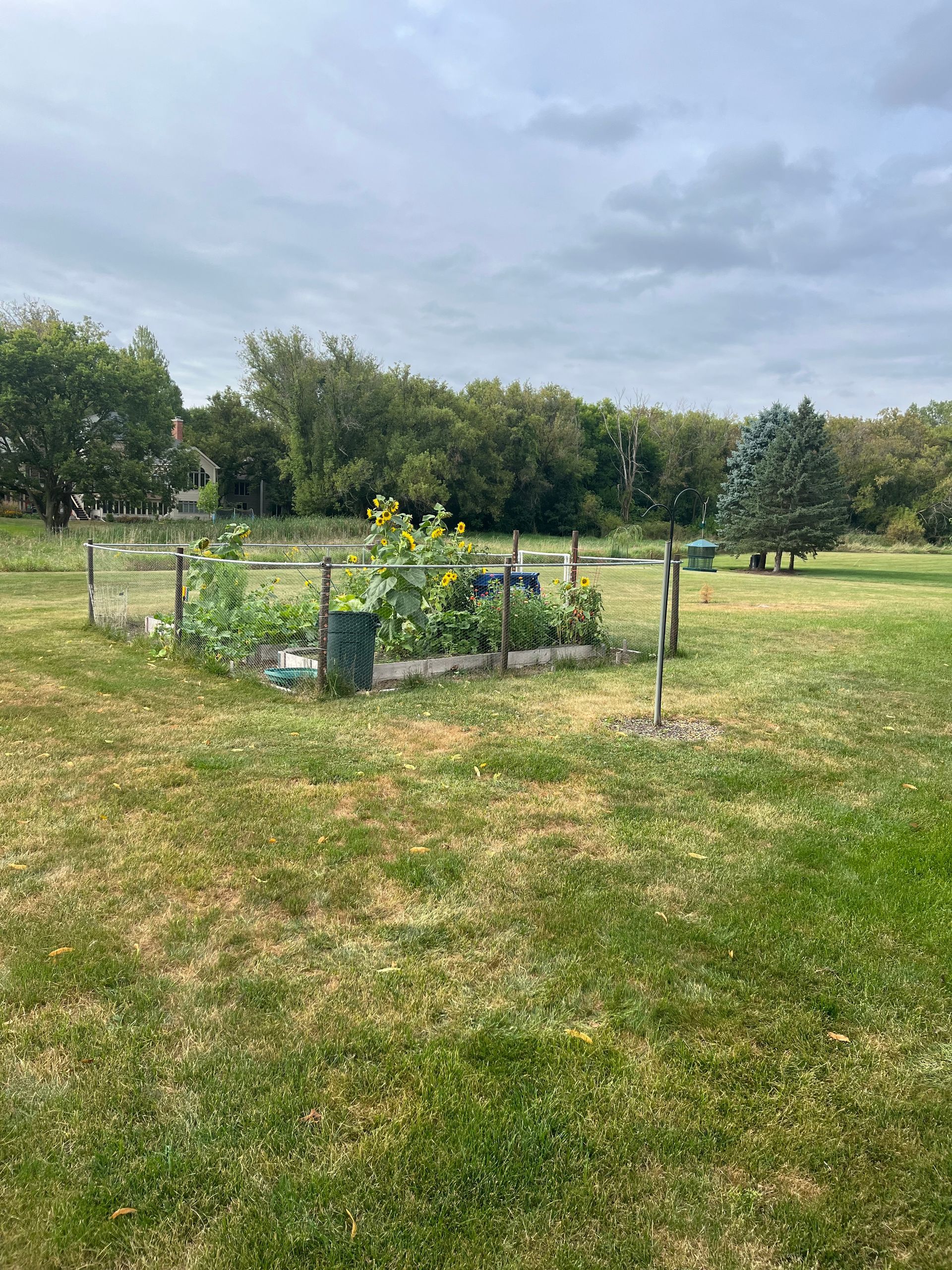 custom gardens