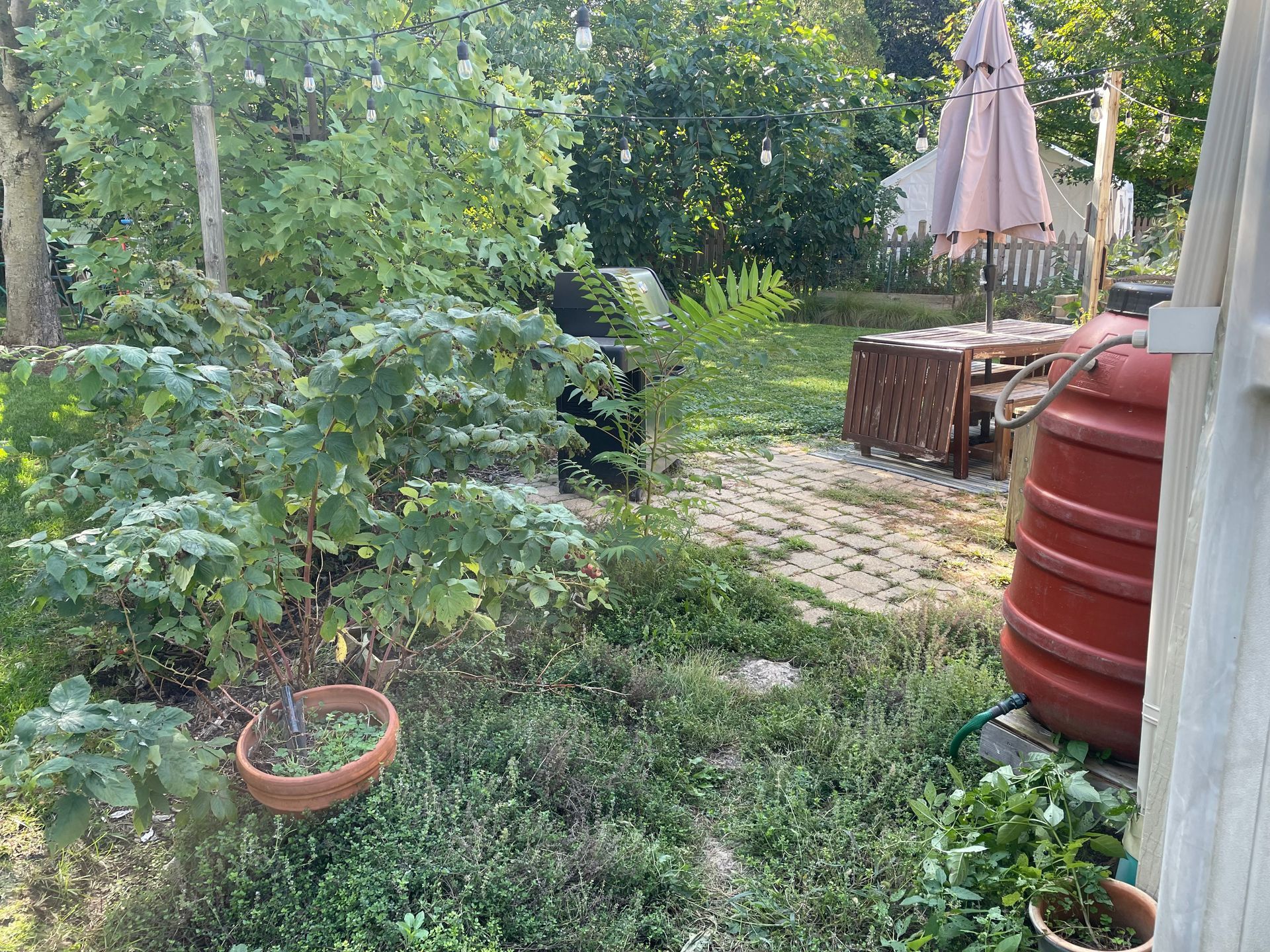 custom gardens