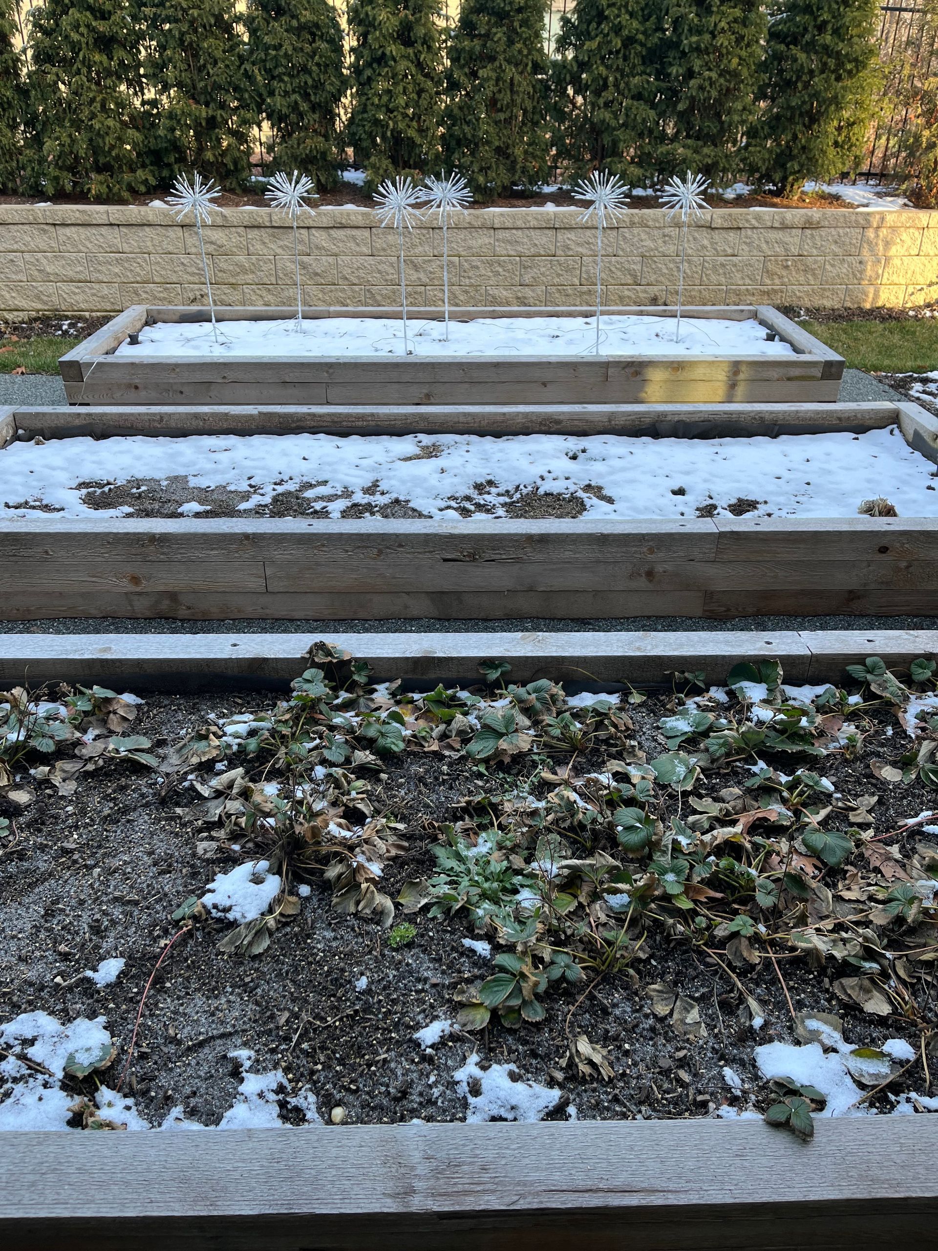 custom gardens