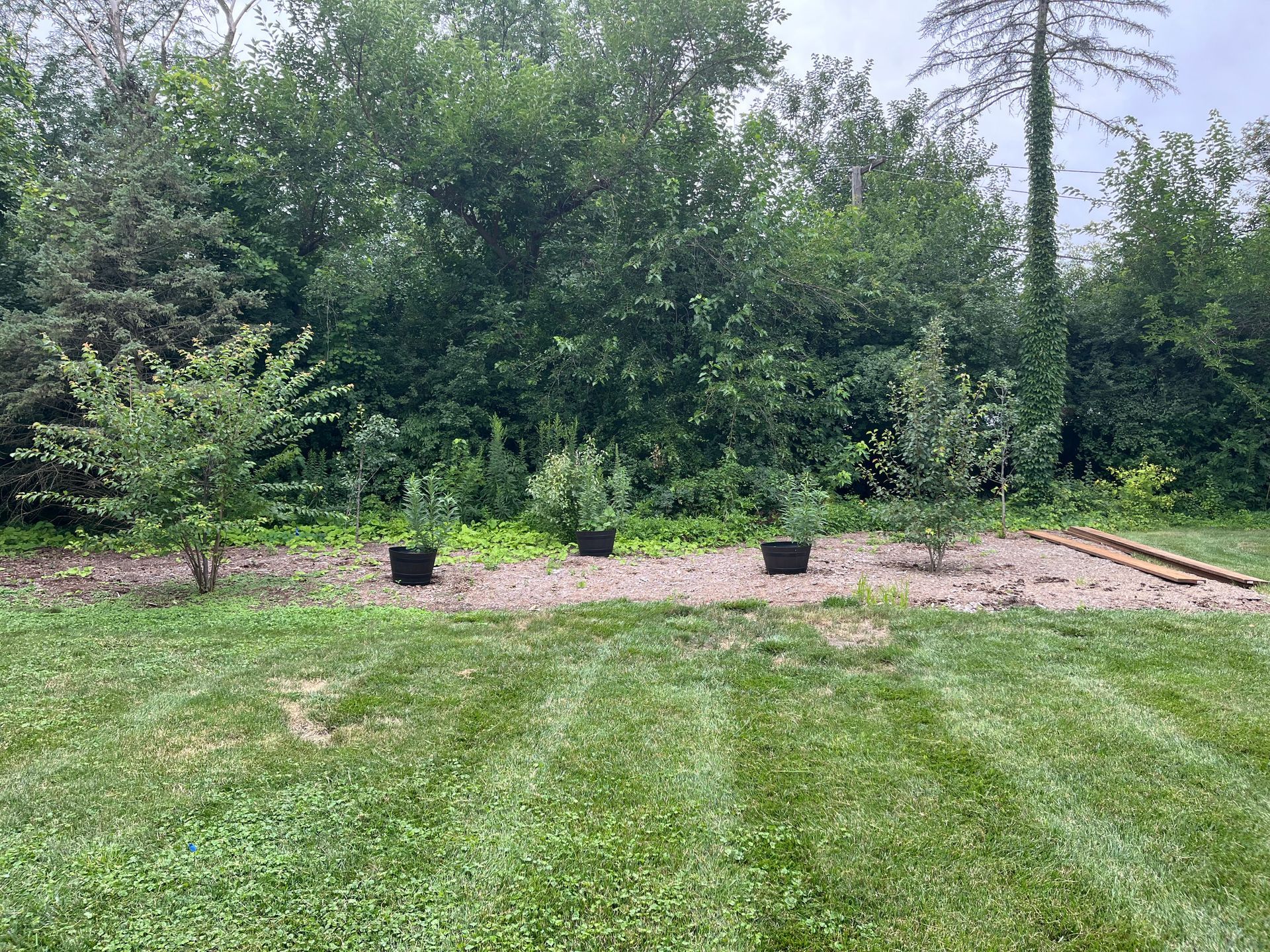 custom gardens