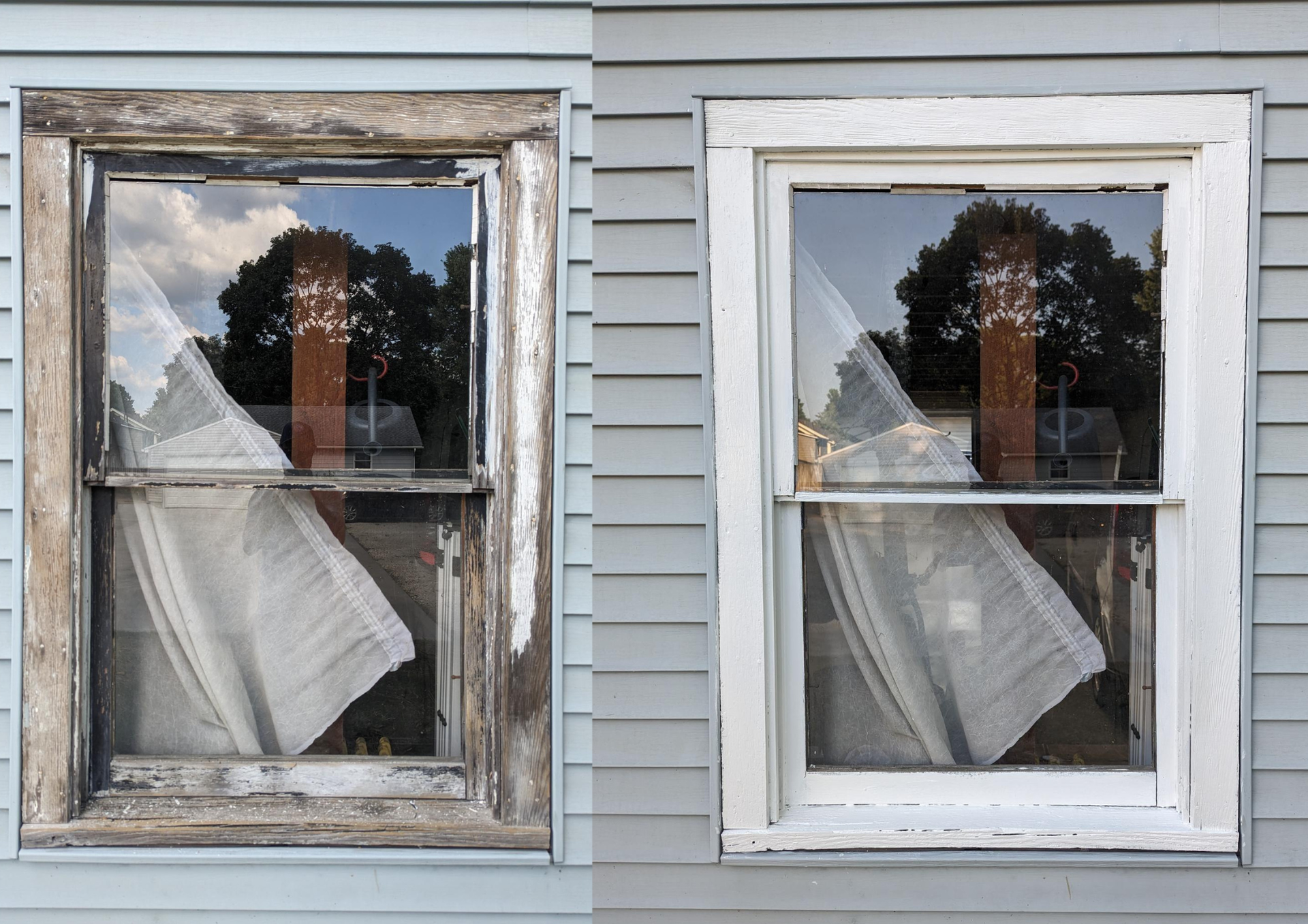 Two windows side by side, one weathered and one white, each with a curtain and tree reflection.