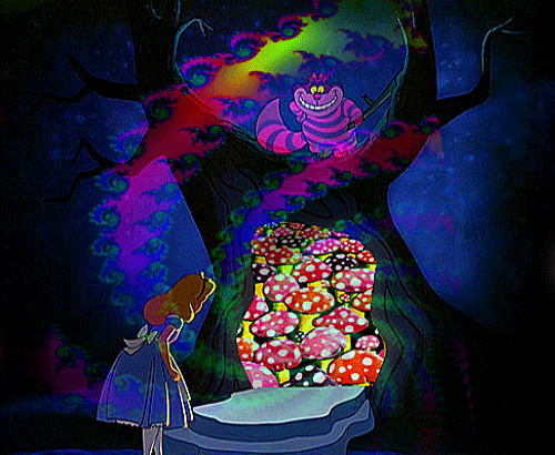 Resultado de imagen para cheshire cat lsd