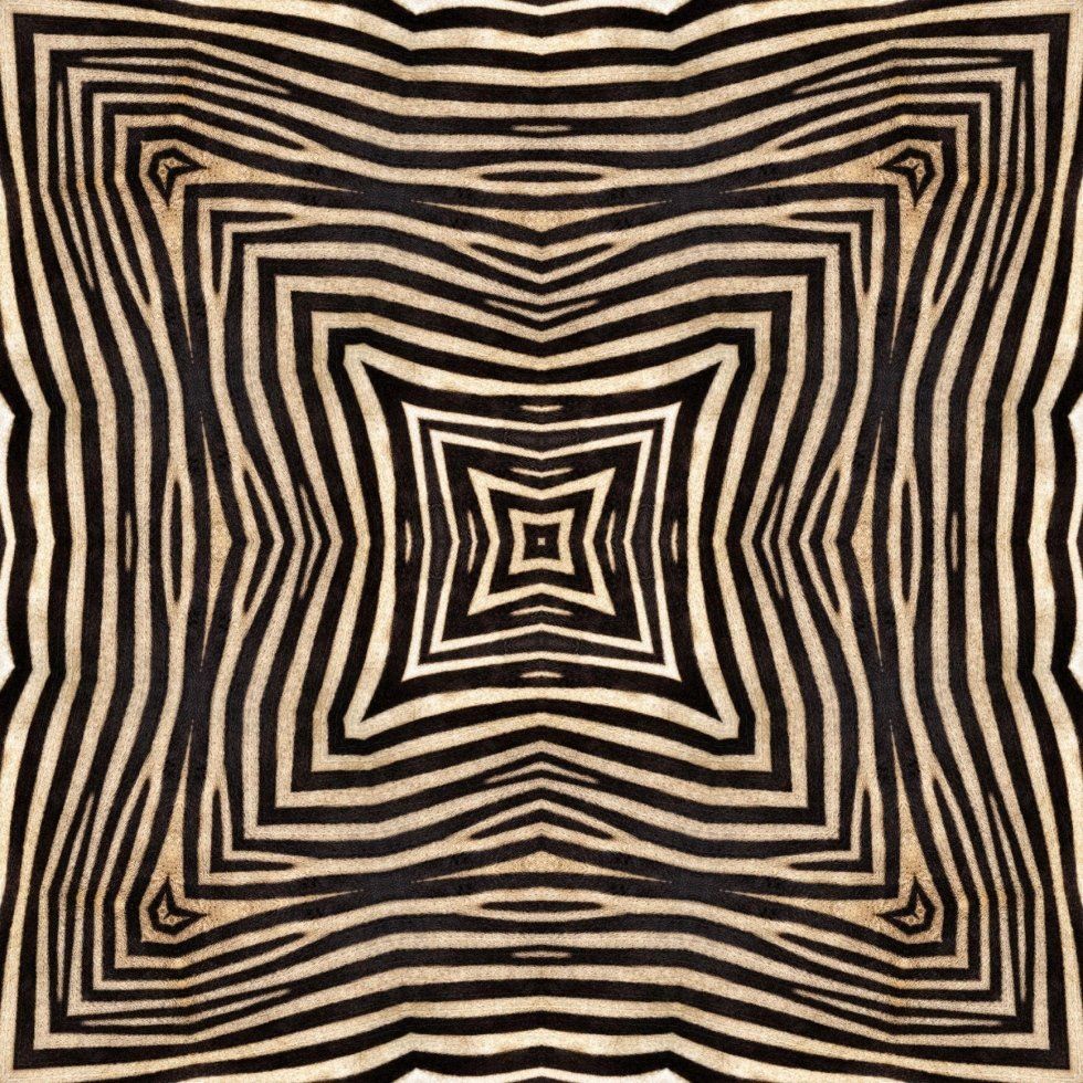 pulitura tappeto zebrato
