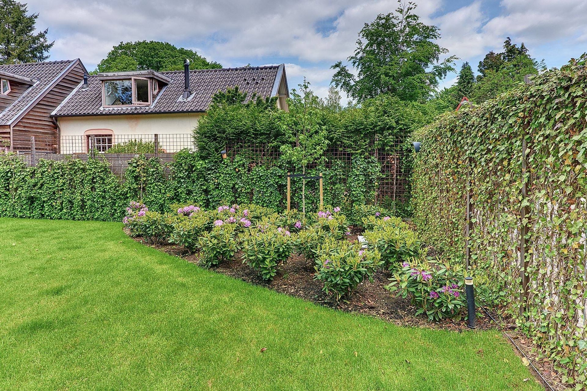 Mooi Groen