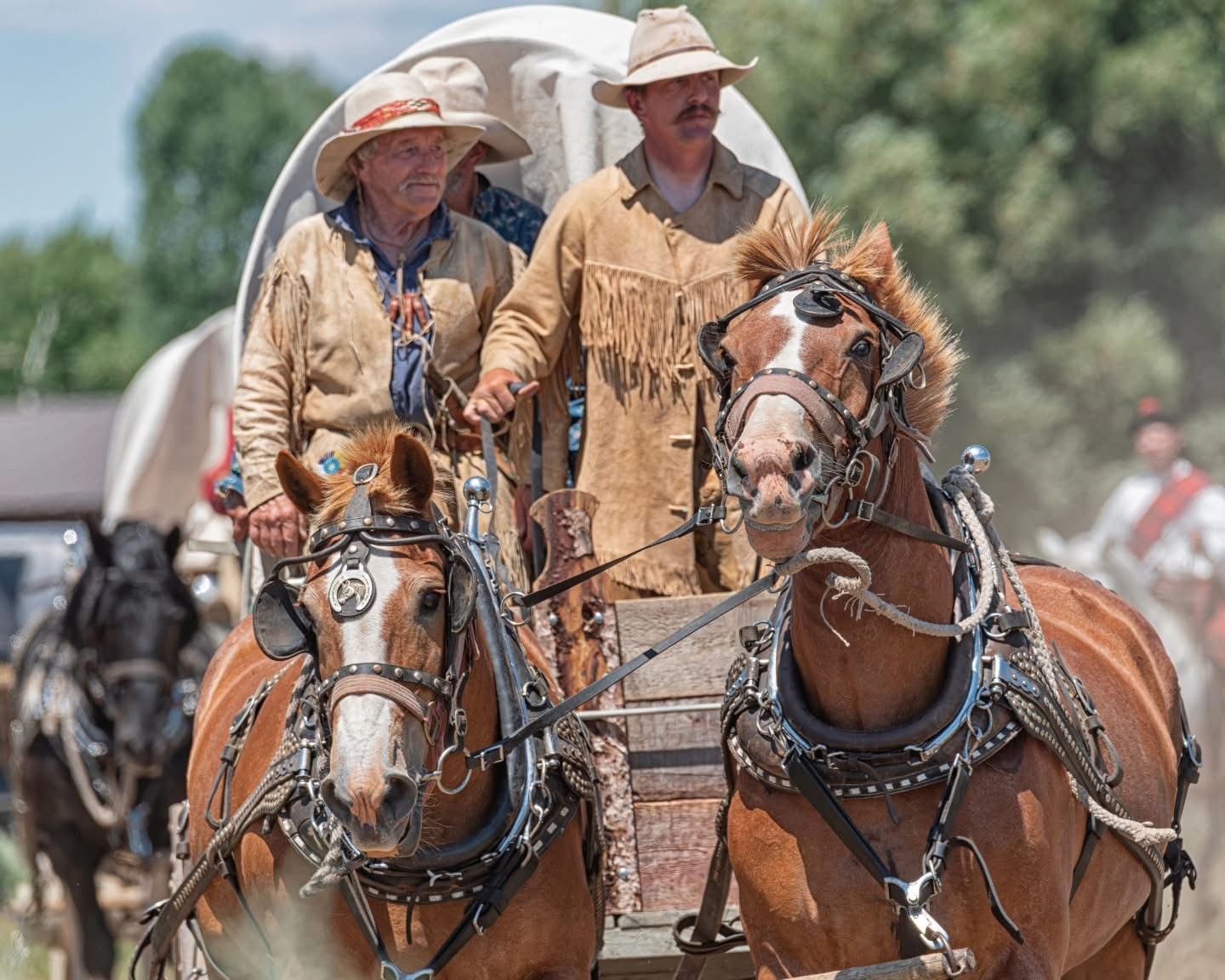 Two cowboys driving horses side by side in a dusty outdoor rodeo scene