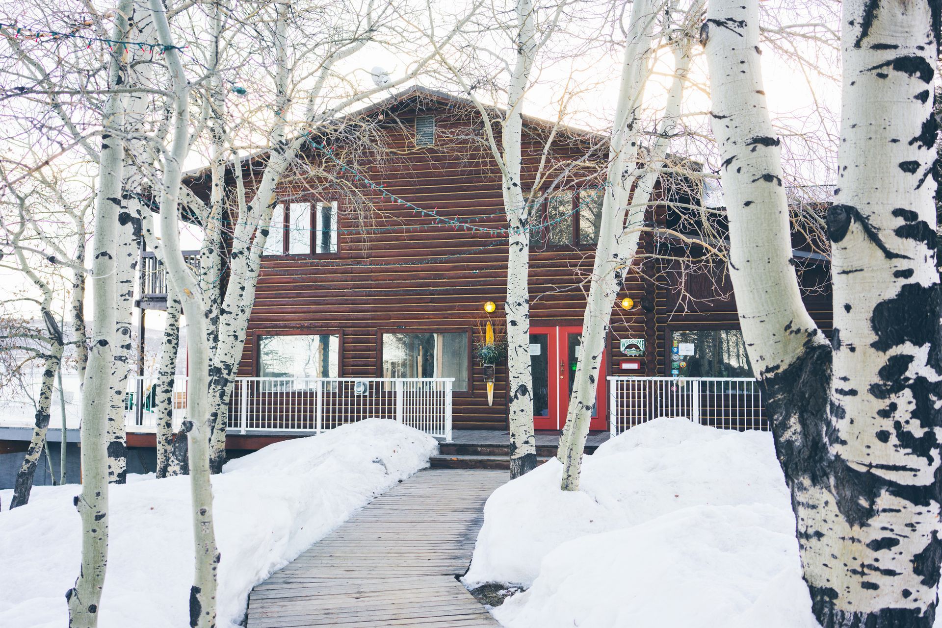 Snow-covered wooden house with white birch trees and a path leading to the front steps