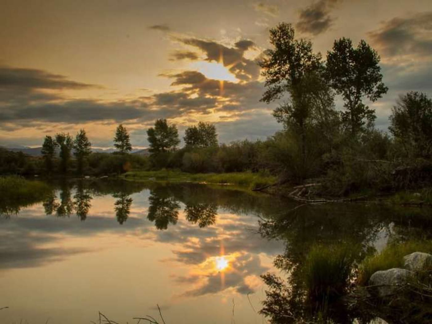 Sunset over a calm river with trees and golden clouds reflected on the water