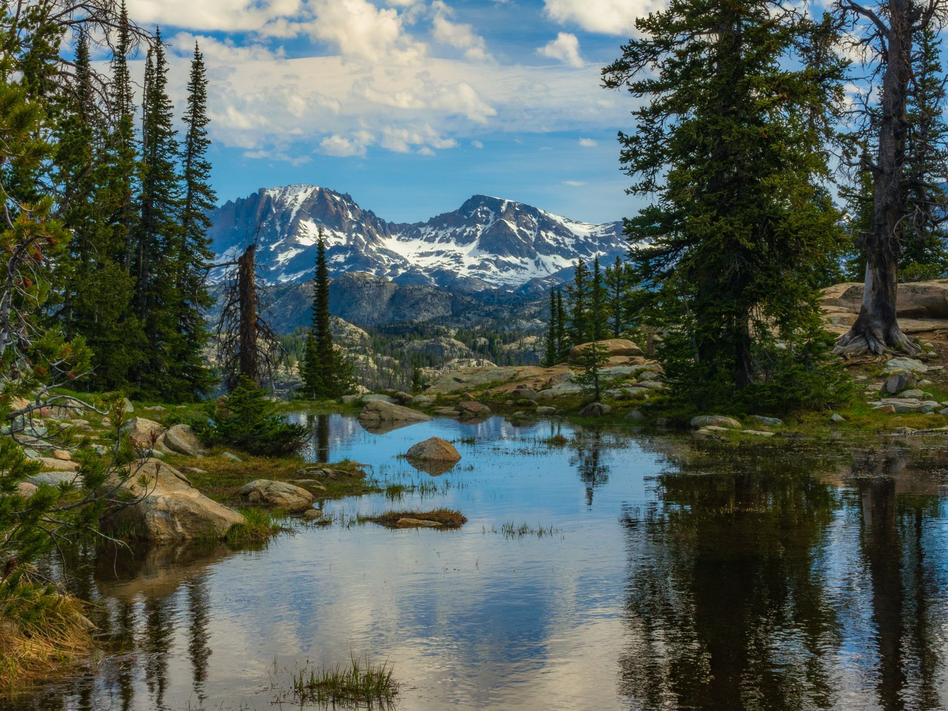 Mountain lake reflecting evergreen trees and snowcapped peaks under a blue sky