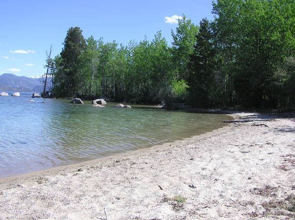 Sandy lakeshore with clear water, green trees, and mountains in the distance on a sunny day