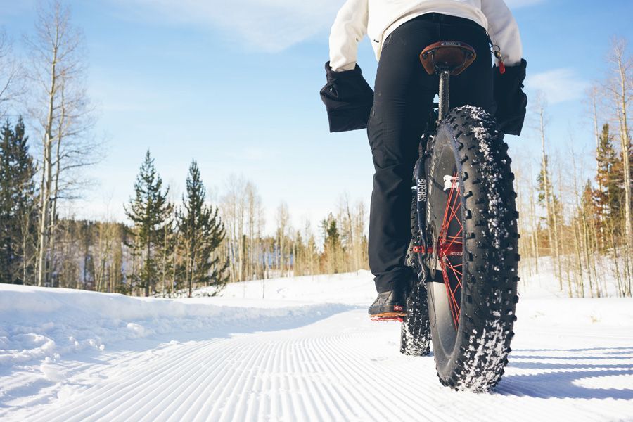 Person riding a fat-tire bike on a snowy trail in a winter forest