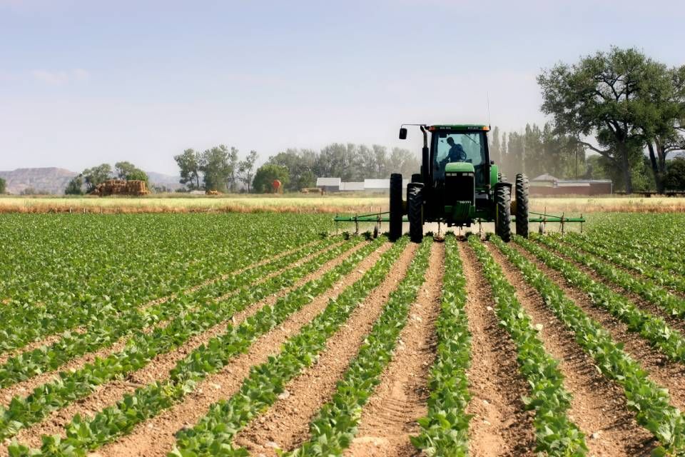 agricoltura