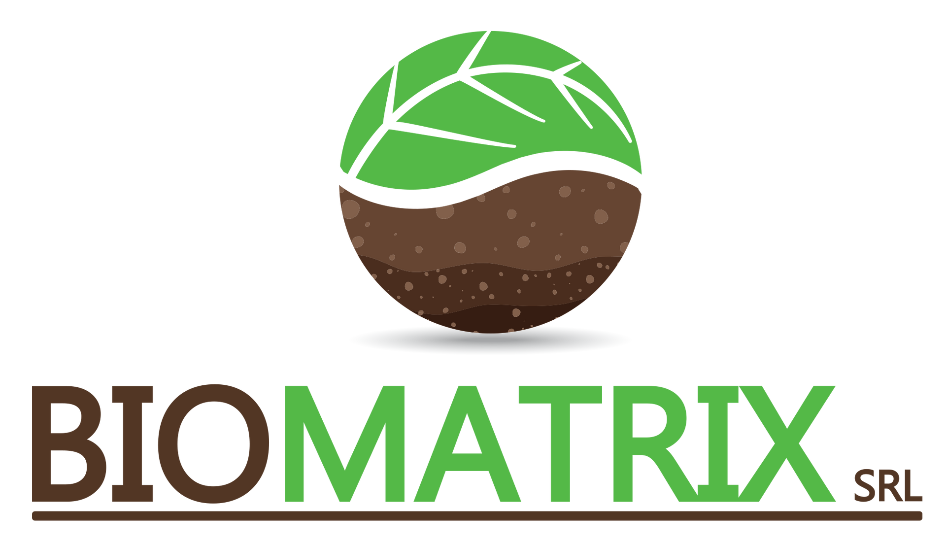 BIOMATRIX logo