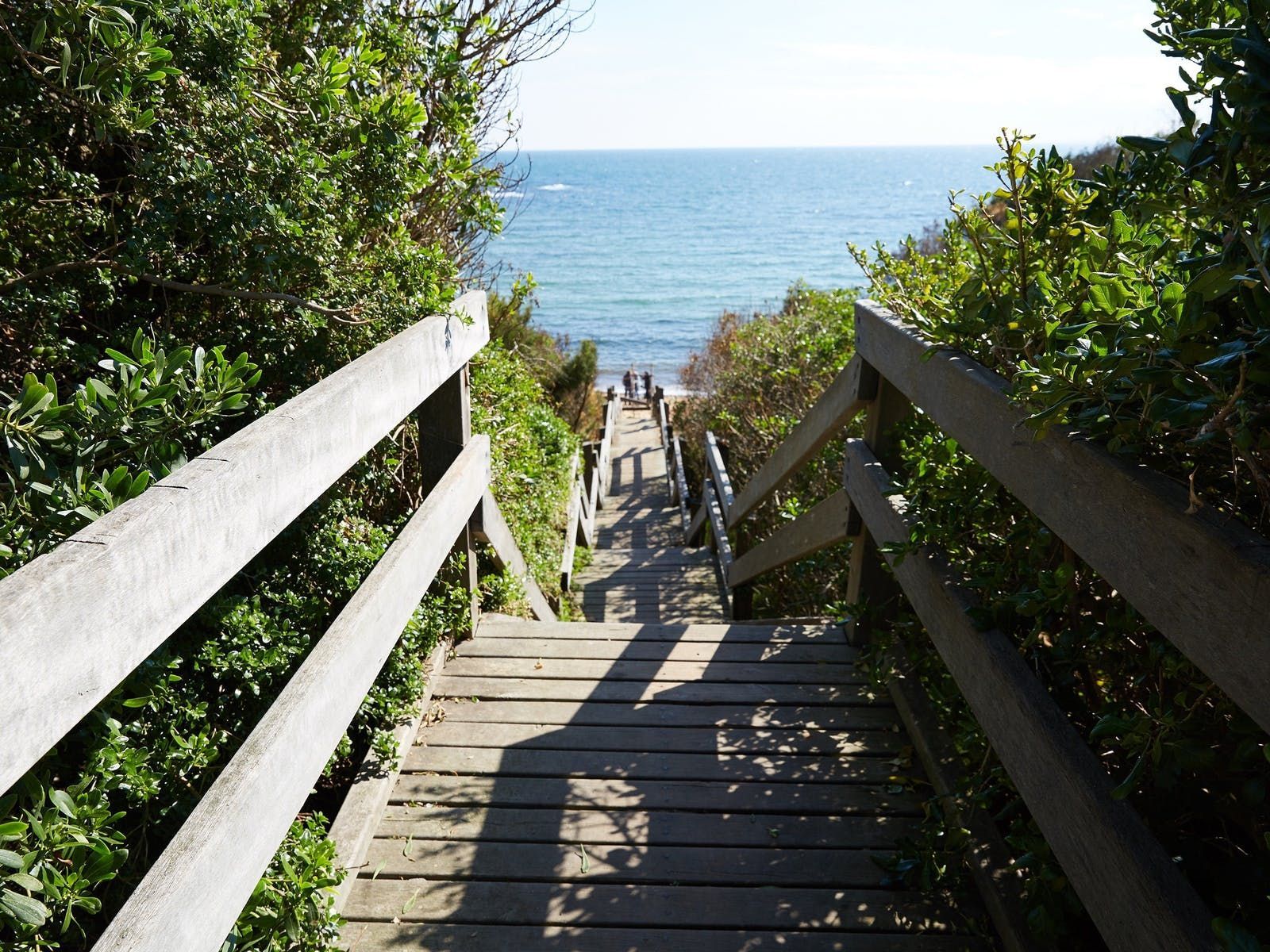 Wooden stairway through greenery leading down to a blue ocean shoreline