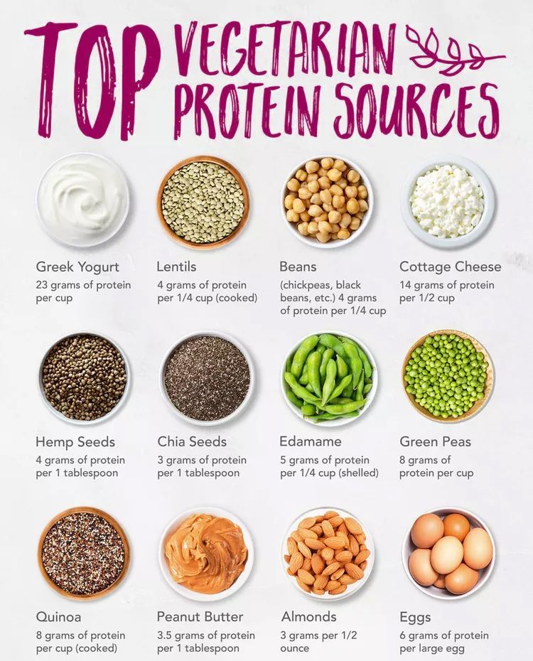 A poster showing the top vegetarian protein sources.