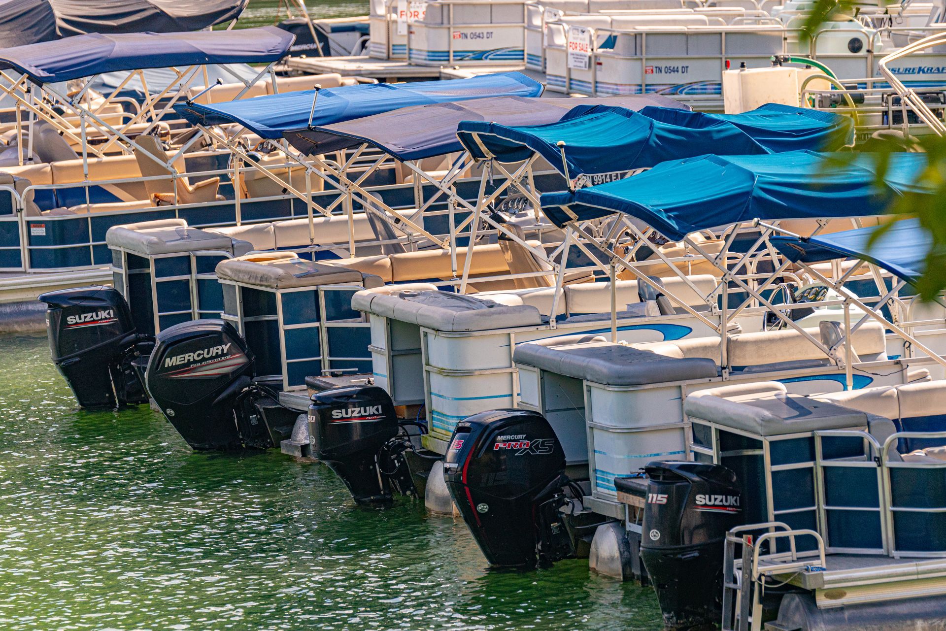 Row of pontoon boats with blue canopies docked side by side