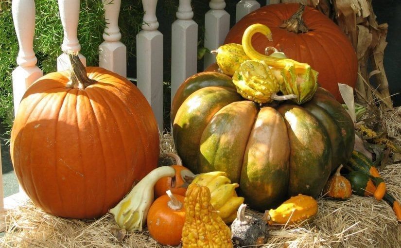 Pumpkins and gourds on hay in front of a white railing for a fall display.