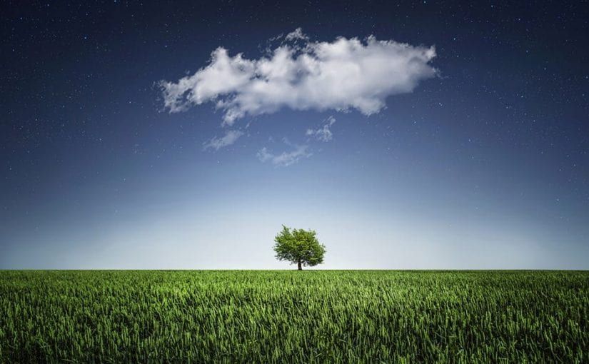 Lone tree in a green field under a blue sky with a fluffy white cloud.