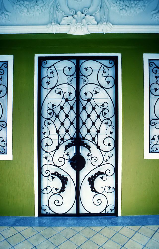 View Security Screen Door With Green Walls — Wholesale Window Coverings in Newcastle, NSW