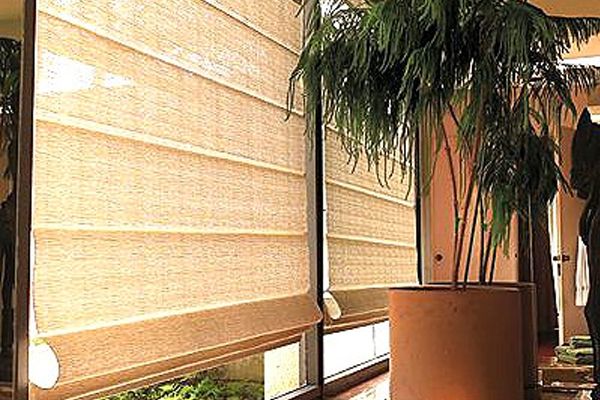 Roman Blinds Beside A Plant — Wholesale Window Coverings in Newcastle, NSW