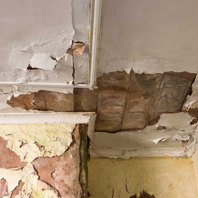 We Buy Homes in Disrepair