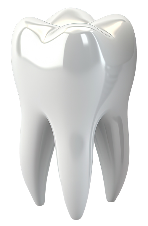 A white tooth with a hole in it on a white background.