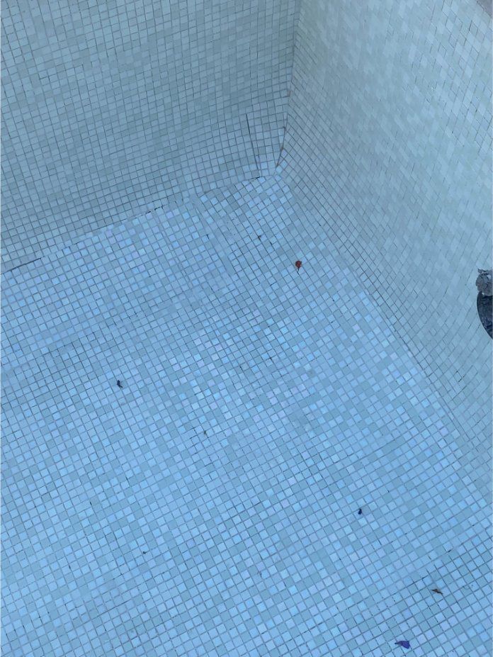 Blue Tiled Swimming Pool Interior, Empty, With Some Debris on the Floor — Worrall Tiling in Port Macquarie, NSW