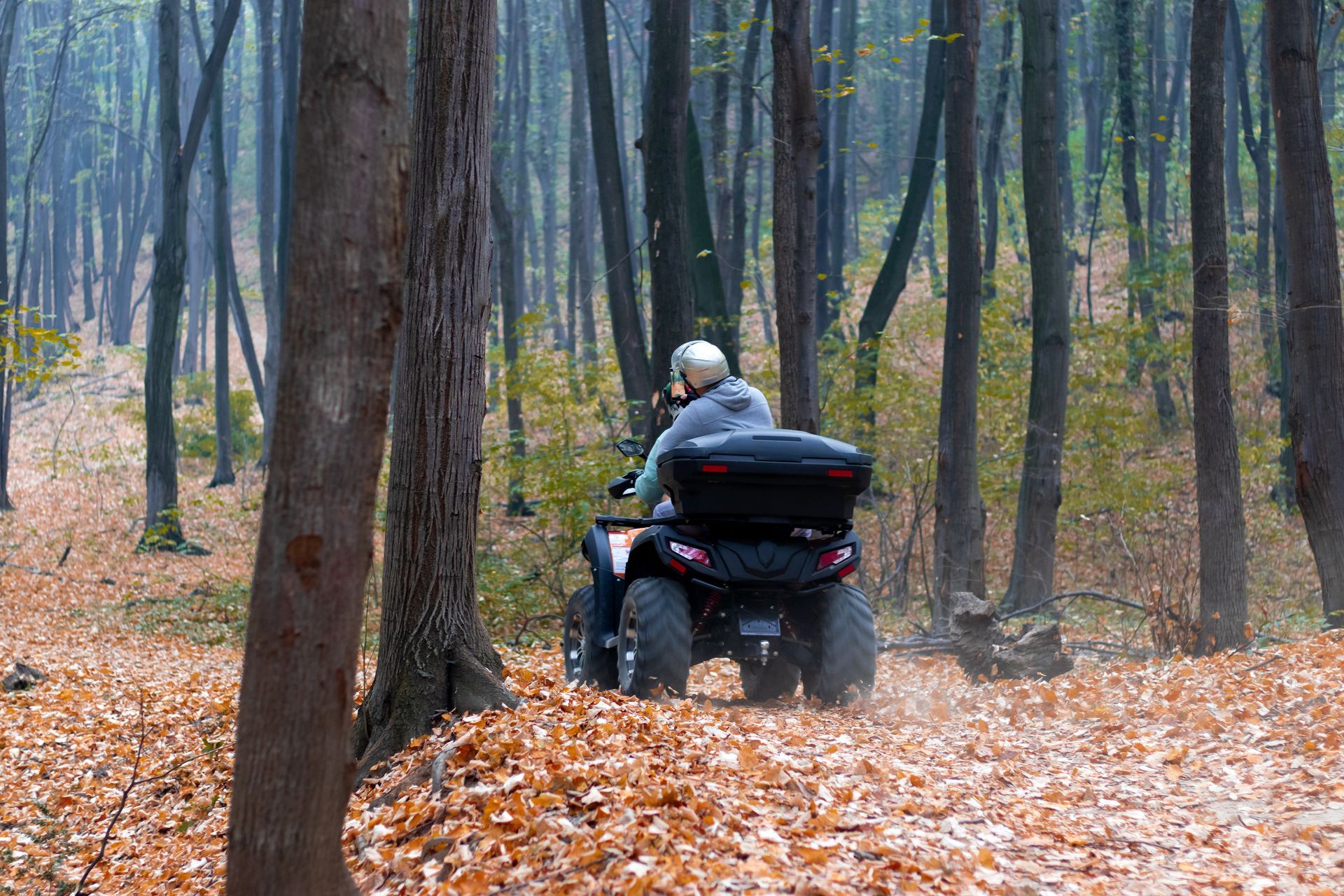 Person riding an ATV through a wooded forest trail covered in fallen leaves