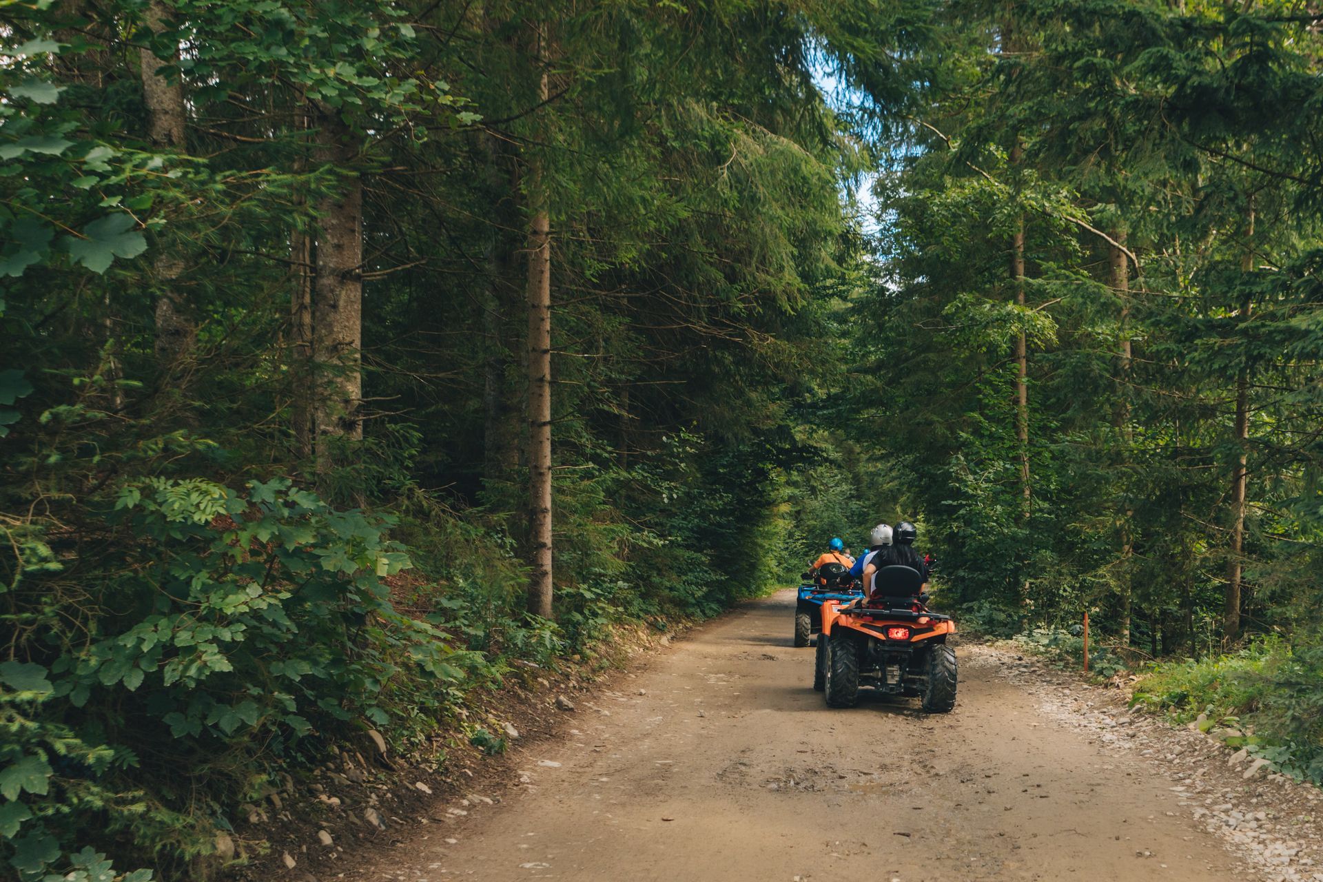 ATV riders on a dirt road through a dense forest