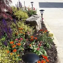 Landscape Design